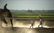 Dos niños llevando banderas koi con el hombre en el elefante siguiente, Tailandia - foto de stock
