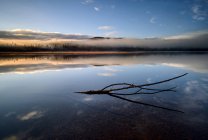 UK, Scotland, Reflection of sky and branch in Loch Laggan — Stock Photo