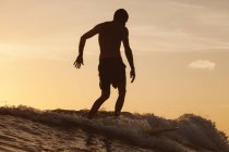 Silueta de surfista de Longboard en puesta del sol, California, Estados Unidos, Estados Unidos - foto de stock