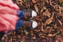 Vue en bas des chaussures féminines et des feuilles d'automne — Photo de stock