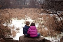 Vista trasera del hermano y la hermana sentados en la roca en el bosque de invierno - foto de stock