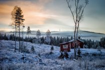 Noruega, Oslo, Sarkedalen, Paisaje invernal temprano en la mañana - foto de stock
