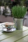 Cappuccio in floraler Teetasse neben Thymianpflanze — Stockfoto