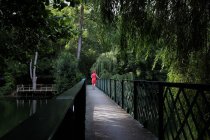 Mujer caminando por la pasarela de la copa del árbol, Niort, Francia - foto de stock