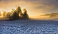Живописный вид на красивые солнечные вспышки в Норвегии — стоковое фото