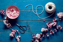 Pink cherry blossom, scissors and string — Stock Photo