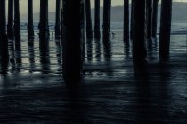Postos de madeira sob o cais, Santa Monica, Califórnia, América, EUA — Fotografia de Stock