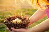 Abgeschnittenes Bild eines Mädchens mit einem Vogelnest, das mit Eiern gefüllt ist — Stockfoto