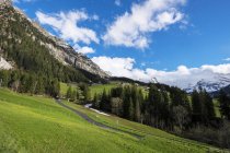 Svizzera, Regione di Jungfrau, veduta panoramica della strada nei campi — Foto stock