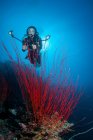 Female Scuba Diver photographing coral underwater — Stock Photo