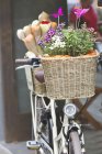 Bicycle decorated with a basket of flowers — Stock Photo