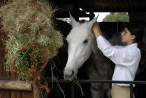 Teenager-Mädchen zieht Zöpfe aus Pferdemähne — Stockfoto