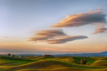 Blick auf rollende Weizenfelder unter wolkenverhangenem Himmel — Stockfoto