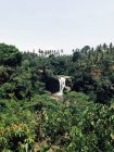 Vue panoramique sur la cascade tegenungan, Ubud, Bali, Indonésie — Photo de stock