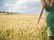 Imagen recortada de Mujer caminando a través del campo de trigo - foto de stock