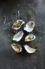 Frische Austern mit Dill und Salz auf grauer Oberfläche — Stockfoto