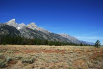 Vista panoramica sulle montagne, Wyoming, America, Stati Uniti d'America — Foto stock