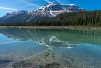 Majestic view of Mt Amery reflection near Graveyard Flats by the Icefields Parkway, Jasper National Park, Canadian Rockies, Alberta, Canada — Stock Photo