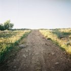 Camino vacío a través del paisaje de Utah, América, Estados Unidos - foto de stock