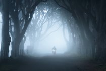 Uk, nordirland, antrim, atmosphärische aufnahme von motorradfahren im nebel — Stockfoto