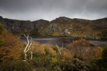 Vue panoramique sur le lac Tea tree, Cradle Mountain, Tasmanie, Australie — Photo de stock