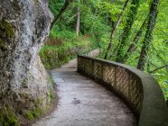 Vista panorámica del sendero a través del bosque, Lago Bled, Eslovenia - foto de stock
