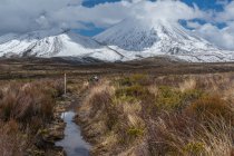 Trilha de caminhada de homem em direção ao Monte Ngauruhoe, Parque Nacional Tongariro, Nova Zelândia — Fotografia de Stock