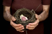 Abgeschnittenes Bild weiblicher Hände, die ein Nest mit einer Rosenblume halten — Stockfoto