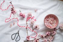 Overhead view of cherry blossom flowers, thread and scissors — Stock Photo