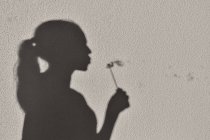 Shadow of girl blowing a dandelion clock — Stock Photo