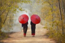 Rückansicht von zwei Frauen mit Regenschirmen, die durch Wald gehen, Thailand — Stockfoto
