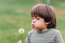 Close-up of Boy blowing dandelion in field — Stock Photo