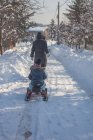 Mutter trägt Sohn auf Schlitten im Winterpark — Stockfoto