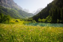 Beautiful green rural landscape, Gadmen, Bern, Switzerland — Stock Photo