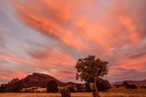 Sunrise over Mount Maroon, Queensland, Australia — Stock Photo