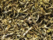 Close-up de chá de ervas no mercado, fundo — Fotografia de Stock