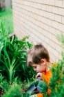 Крупный план маленького мальчика, копающего в саду — стоковое фото