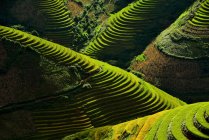 Мальовничим видом з тераси рисових полів, за круглим, В'єтнам — стокове фото