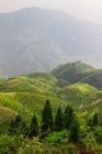 Vue panoramique sur les terrasses de riz, Chine, Guangxi, comté de Longsheng — Photo de stock