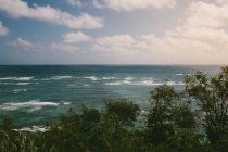Scenic view of sea over tree tops — Stock Photo