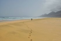 Человек, гуляющий по пляжу Кофете, Фуэртевентура, Испания — стоковое фото