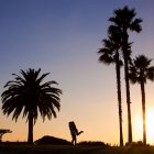 Силуэт мужчины, поднимающего девушку рядом с пальмами — стоковое фото
