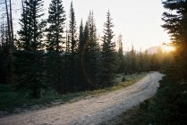 Vista panorâmica de Road through High Uintas Wilderness area, utah, America, USA — Fotografia de Stock