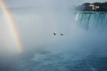 Malerischer Blick auf zwei Vögel, die über Niagarafälle fliegen, Kanada — Stockfoto