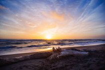 Живописный вид на сугробы на пляже на закате, Пеша Романа, Лампедуза, Италия — стоковое фото