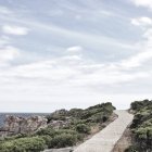 Weg durch Küstenvegetation, Hermanus, Gemeinde Overberg, Westkap, Südafrika — Stockfoto