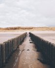 Vista panorâmica ao longo de dois groynes em direção a praia vazia, Holanda — Fotografia de Stock