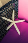 Getrocknete Seesterne auf rosa Stuhl, erhöhter Blick — Stockfoto