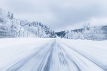 Мальовничий вид на снігу покриті лісом шосе, Америці пароплав-Спрінгс, Колорадо, США — стокове фото