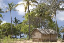 Мальовничим видом hut соломи на пляжі, Мозамбік — стокове фото